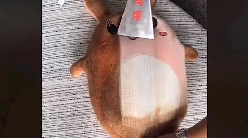 Ovaj video čišćenja vodenom parom pružit će vam pravo zadovoljstvo