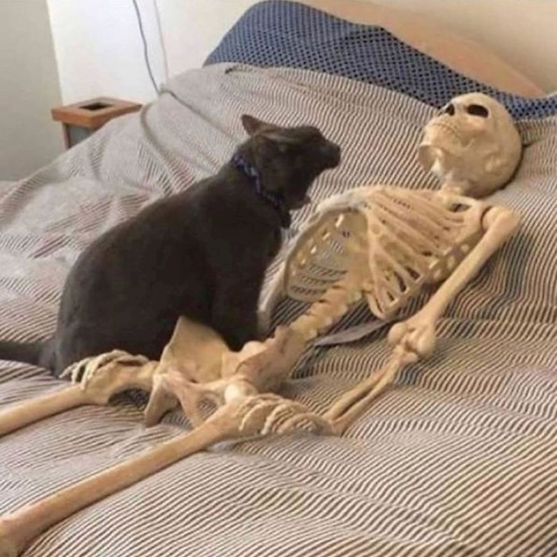 "A gdje je moja večeraa?"