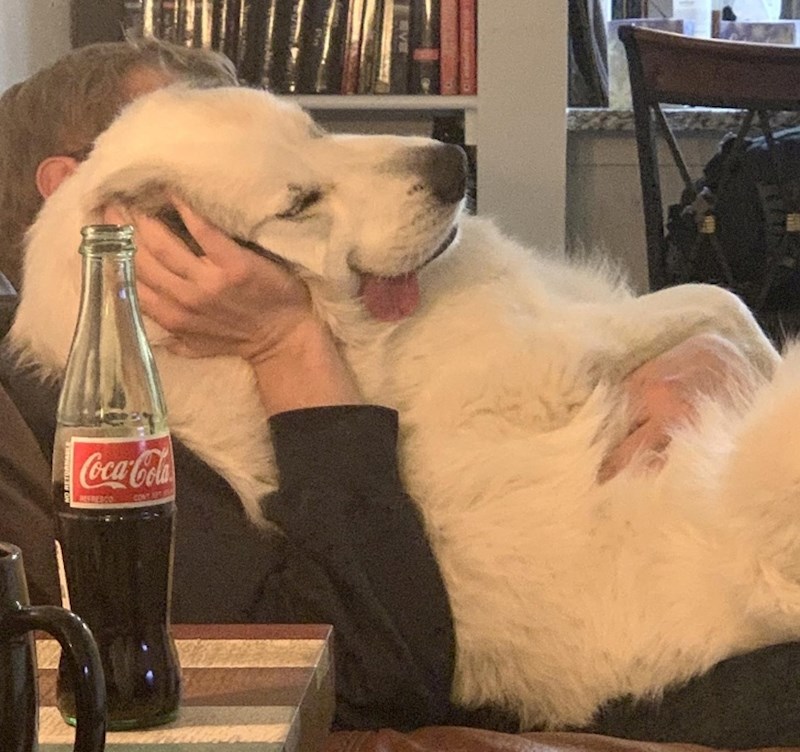 "Ovako je zaspao..."