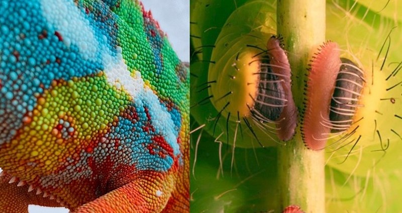 Fotke koje nam pomažu da bolje shvatimo svijet oko sebe