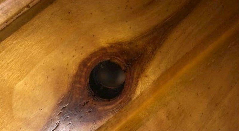 Dok su čistili kuću koju su kupili, pronašli su nešto što ih je istovremeno uplašilo i nasmijalo