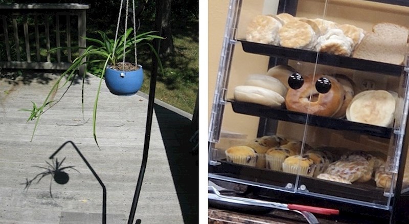 Fotke svakodnevnih stvari koje izgledaju kao nešto potpuno drugo