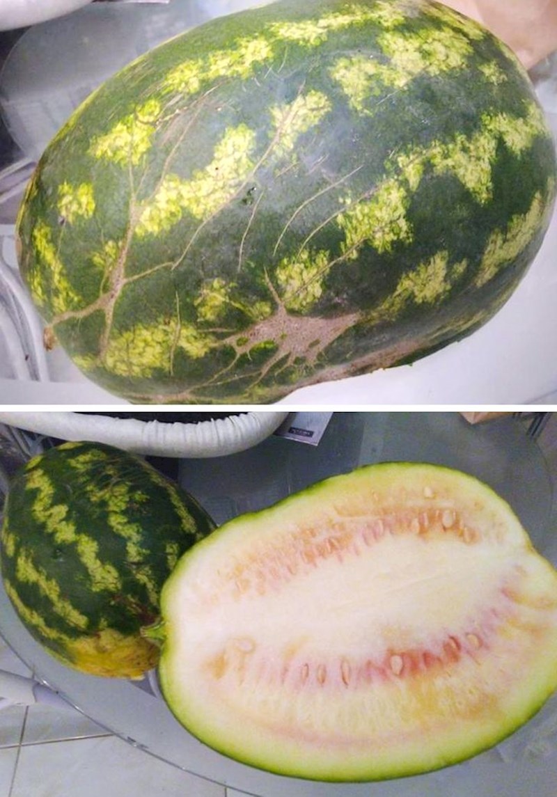 "Rekli su mi da kupim lubenicu koja ružno izgleda. Evo što sam dobio..."