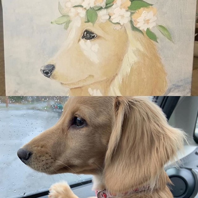 "Gore je slika koju sam pronašla na buvljaku, a dolje na slici je moj pas"