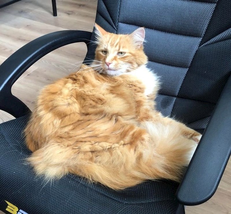 "Kako to misliš moram se maknuti?"