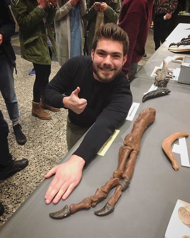 Ruka  Tyrannosaurus Rexa