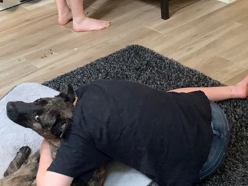 "Moj pas ima čudno tijelo..."