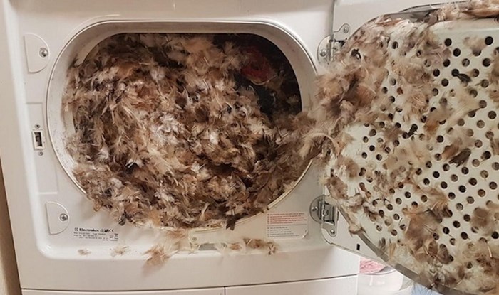 Ovi ljudi fotkali su nezgode koje su im se dogodile
