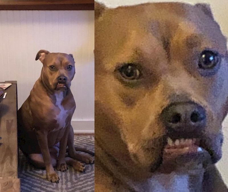 "Cijelo vrijeme je zurio u mene"