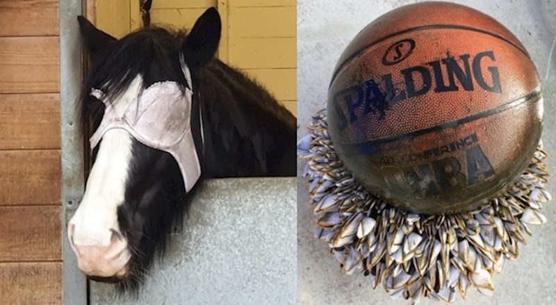 Ljudi su podijelili zanimljivosti iz svakodnevnog života koje se ne viđaju često