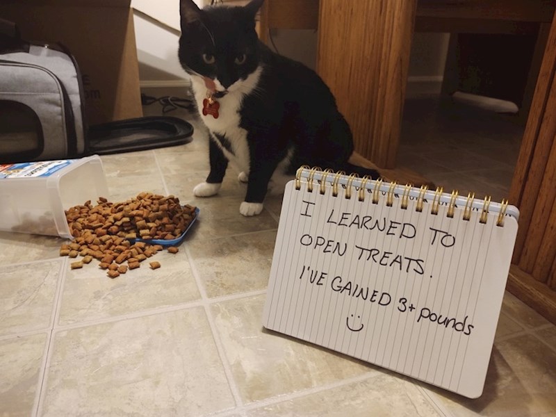 Naučila je kako otvoriti kutiju u kojoj su njene slastice... :D