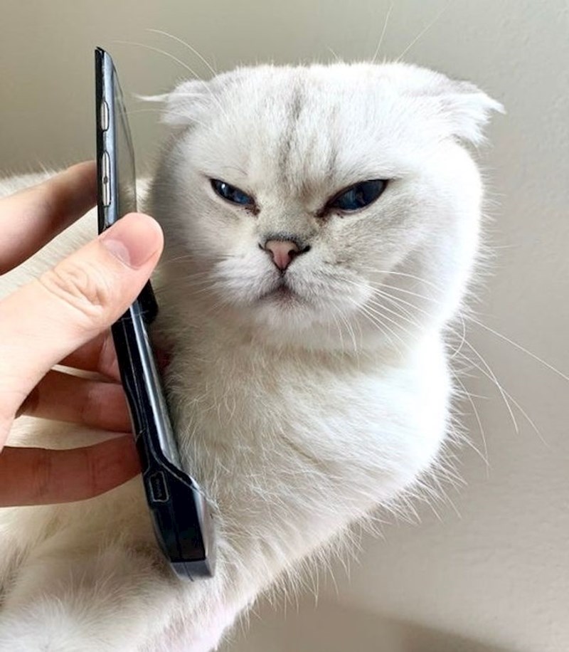 "Pa tko mi sada smeta?!"