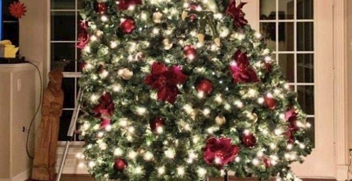 Je li ovo najbolje božićno drvce ikad? Morate vidjeti zašto je toliko posebno