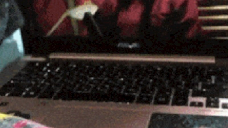 Cura je gledala seriju na laptopu, kada ju je nešto naglo prekinulo i jako nasmijalo