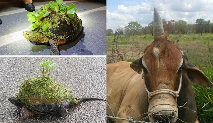 Zanimljivosti o kojima sigurno ništa niste znali