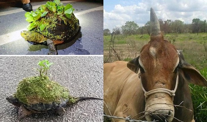 Zanimljivosti o kojima sigurno ništa niste znali