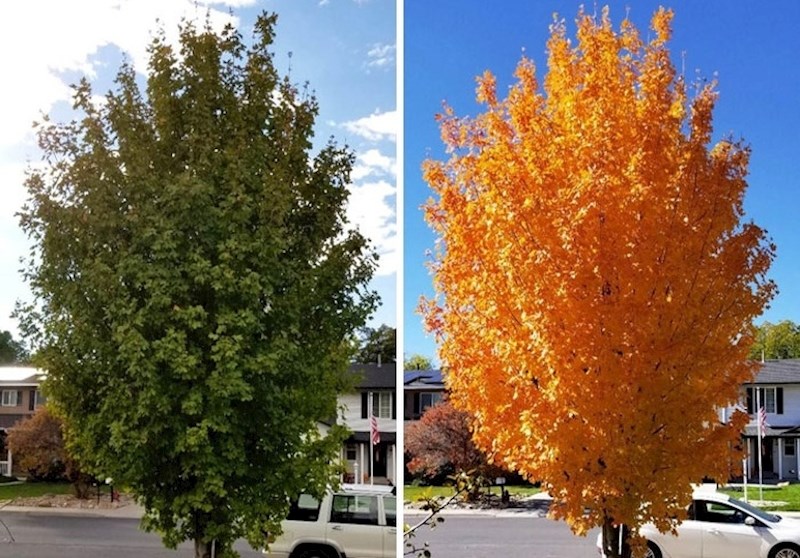 Za ovu promjenu bilo je potrebno samo 11 dana!