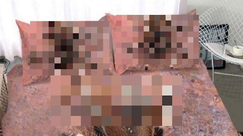 Skoro mu je stalo srce kada je ugledao posteljinu koju je kupila njegova žena