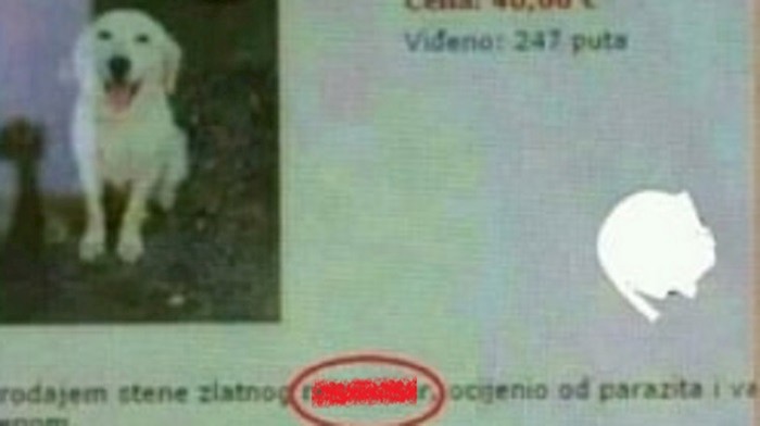 Lik je objavio oglas zbog kojeg su svi plakali od smijeha, evo zašto