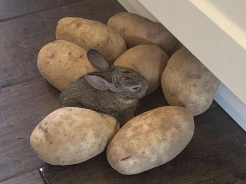 "Prošlo je već dva dana, još me nisu pronašli..."