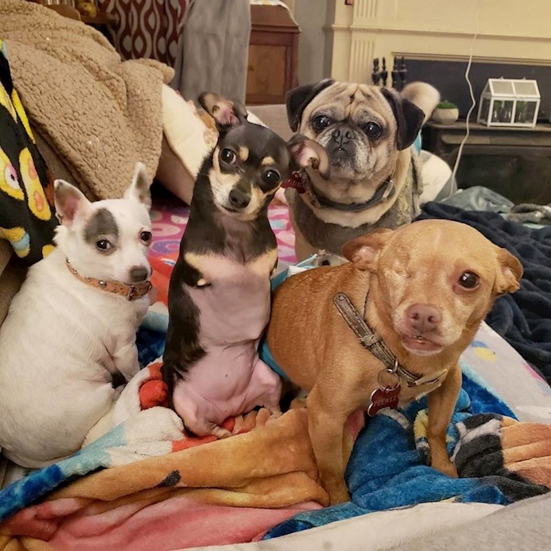 Ekipa u koju su svi dobrodošli