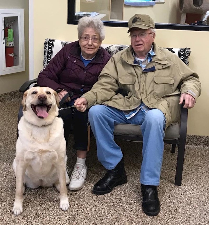 Ovu staru damu usvojio je divan bračni par :)