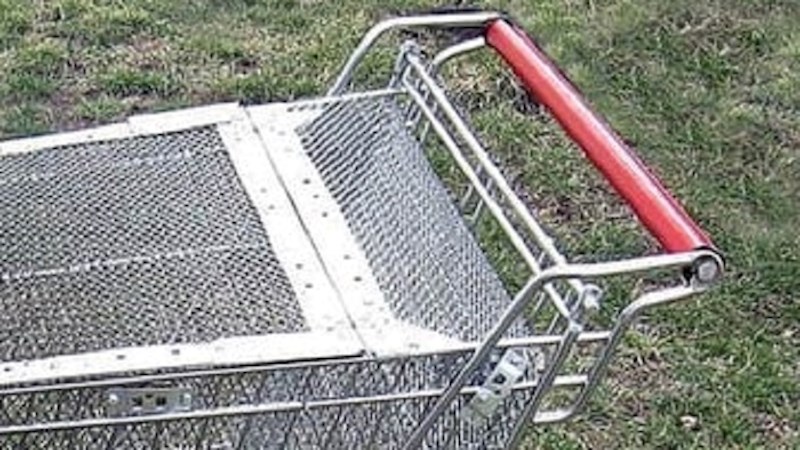 Lik je uzeo kolica iz dućana i napravio nešto genijalno