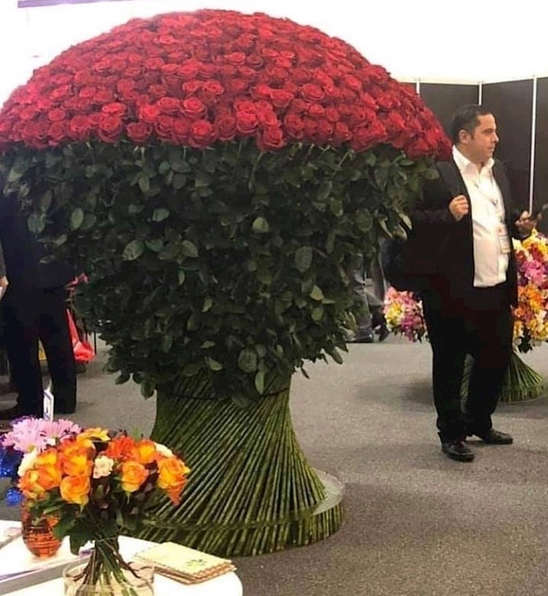 Ogroman buket. Netko je gadno zeznuo...