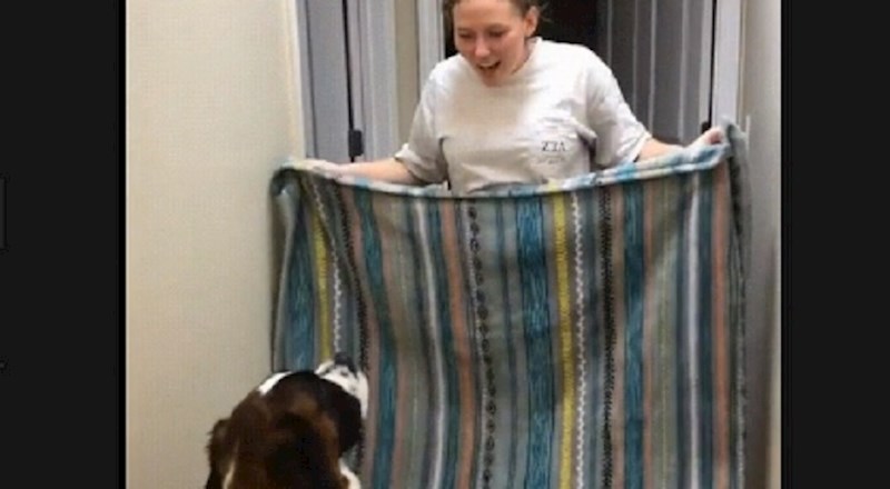 Pokušala je nasamariti svog psa, ali na kraju je ona izvukla deblji kraj