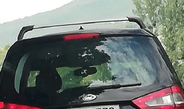 Snimili su ovog turista zbog registracija, evo zašto su se svi smijali