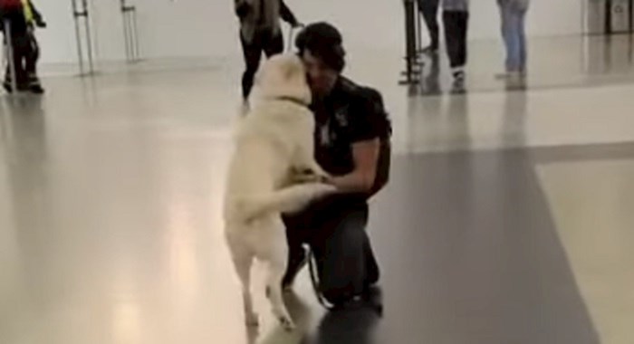 Pogledajte ovaj dirljivi susret psa i njegovog vlasnika na aerodromu