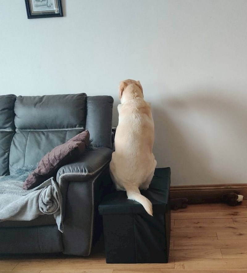 "Ljuti se na mene jer se ne mogu igrati s njim"