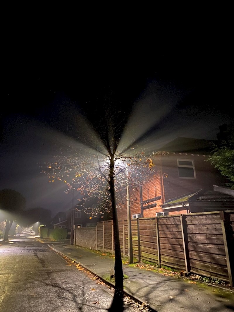 Prizor iz noćne šetnje