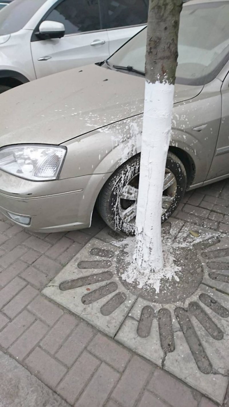 Bojanje stabla bilo je neodgodivo! :D