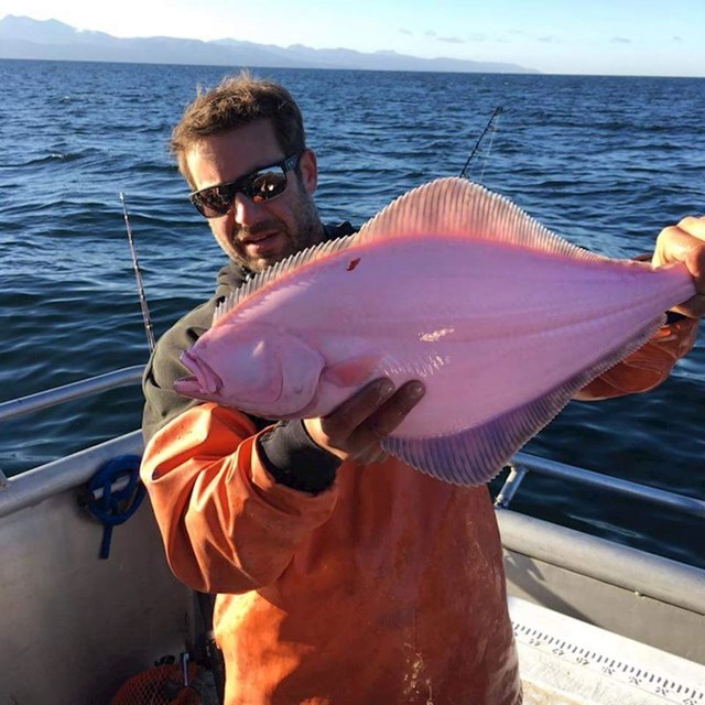 Halibut ribe su inače bijele, ali ova je ružičasta :D