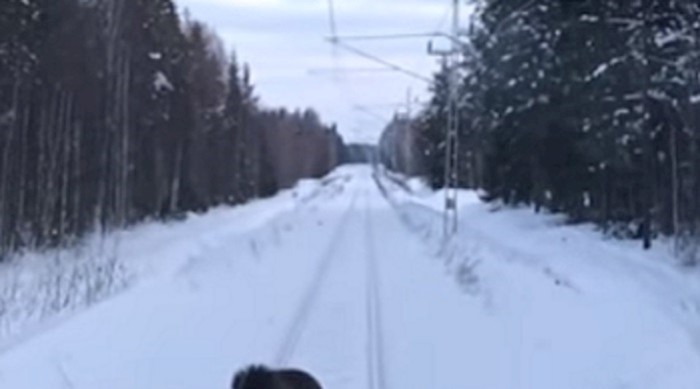VIDEO Vlak je mirno vozio, odjednom mu se nešto našlo na putu