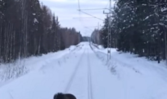 VIDEO Vlak je mirno vozio, odjednom mu se nešto našlo na putu