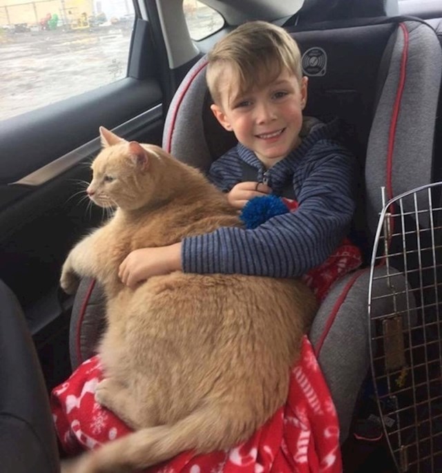 Majka mu je dozvolila da izabere bilo koju životinju u skloništu, on je izabrao ovu debelu staru mačku koju nitko nije htio