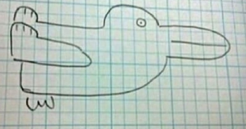 Ova slika godinama svađa ljude na internetu. Što vidite, zeca ili patku?