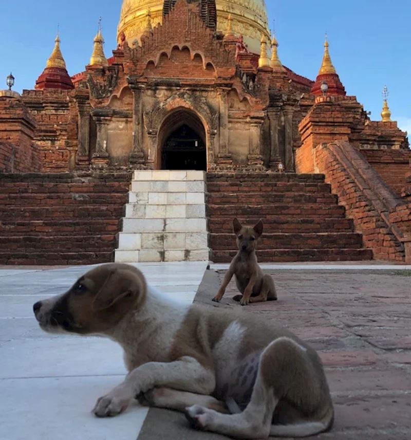 Savršena slučajnost! :)