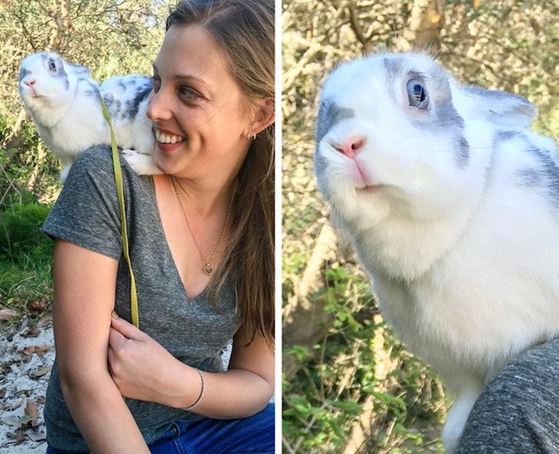 "Odvela sam svog zeca na plažu. Mislim da mu se ne sviđa..."