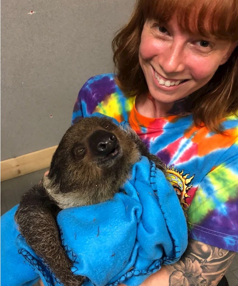 "Napokon u rukama držim ljenjivca!"