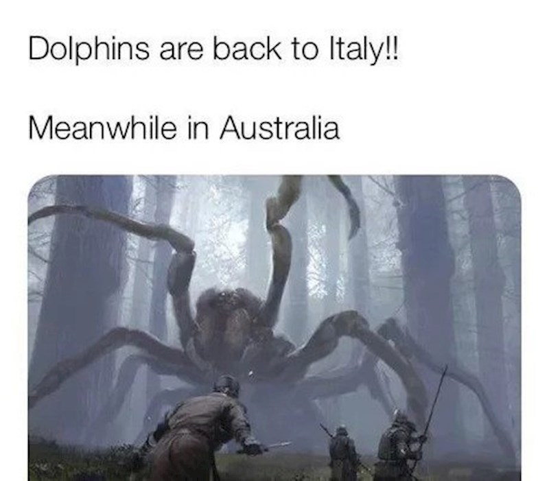 Dupini se vraćaju u Italiju! Trenutno u Australiji...