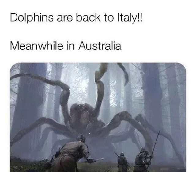 Dupini se vraćaju u Italiju! Trenutno u Australiji...