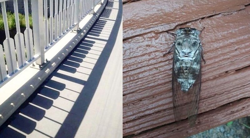 20 puta kada su ljudi ugledali lica i predmete tamo gdje ih nije bilo