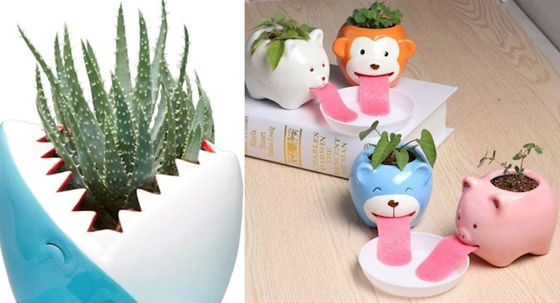 Teglice za cvijeće zbog kojih ćete poželjeti svoj dom ispuniti zelenilom