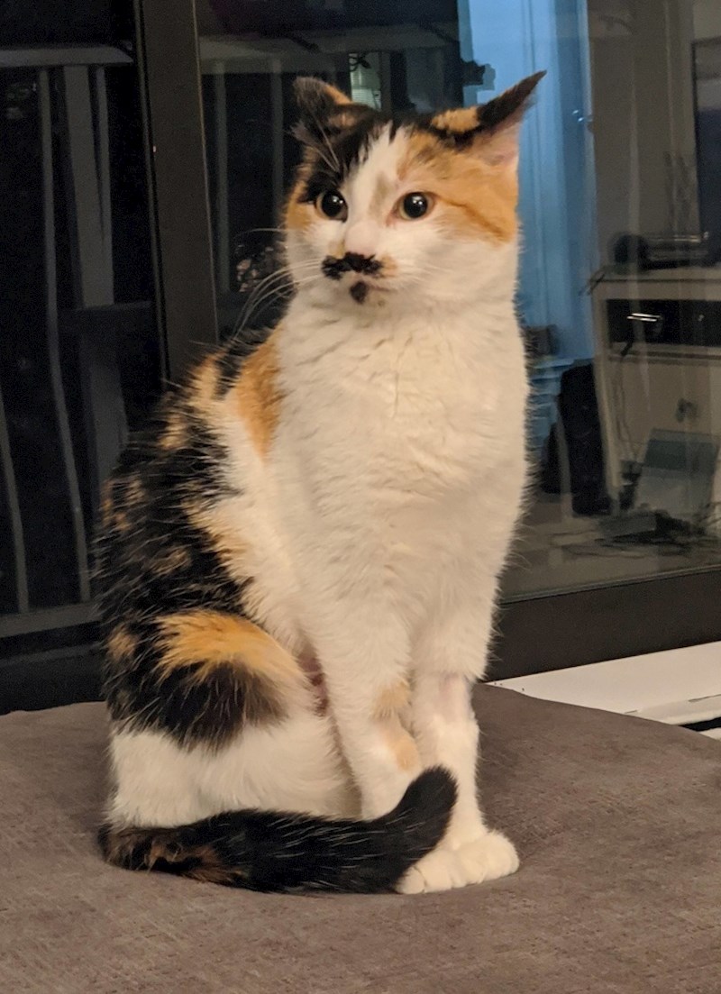 Mališan s brkovima :)