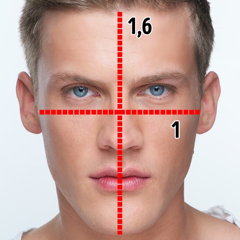 Formula zlatnog reza, prema dr. De Silvi, sastoji se od 3 dijela: