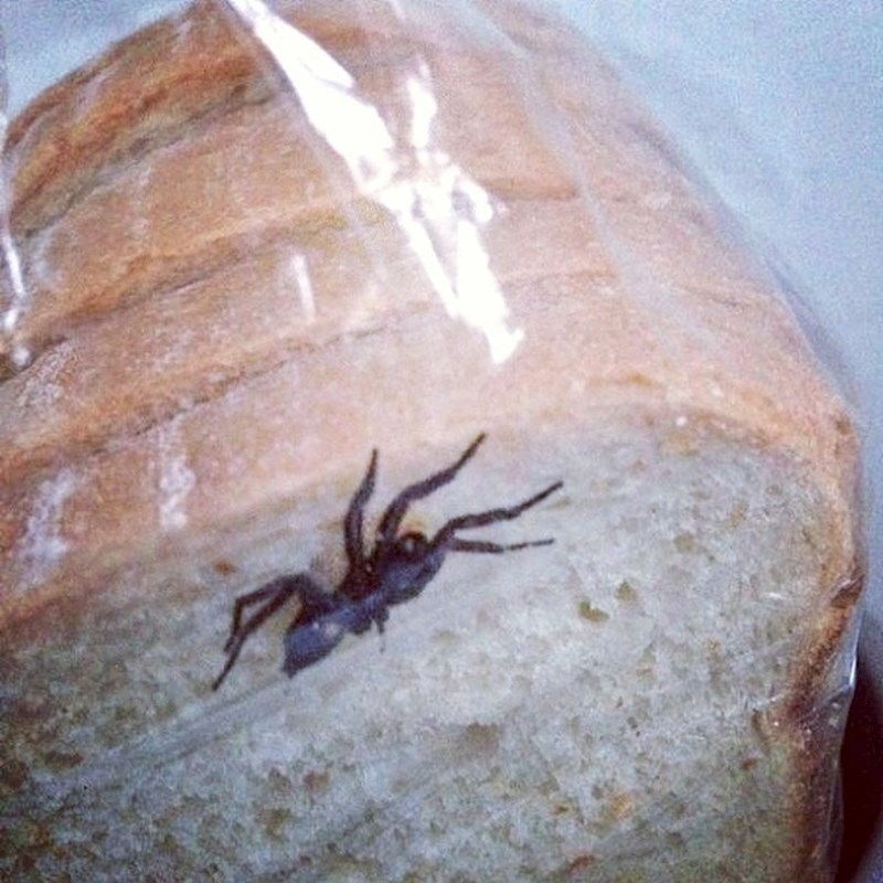 "I tako je počela moja dijeta bez kruha..."