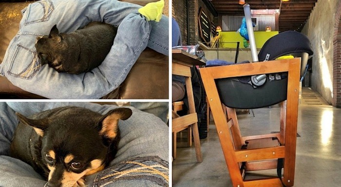 16 ljudi čije su ideje zadivile ljude na internetu